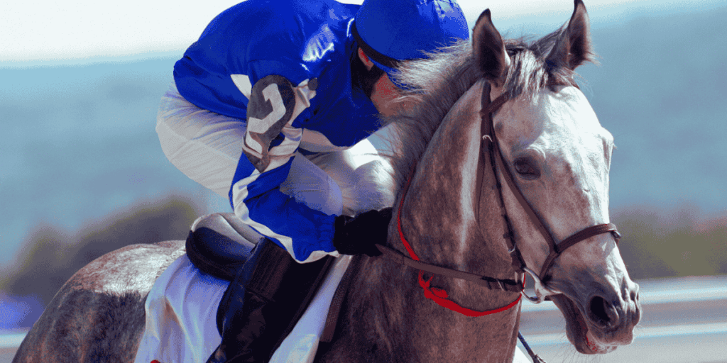 All About Thoroughbred Race Horses: Breed, Traits & Success