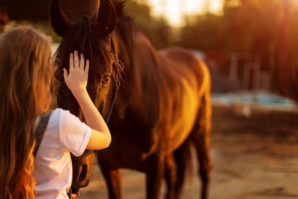 understand your horse needs