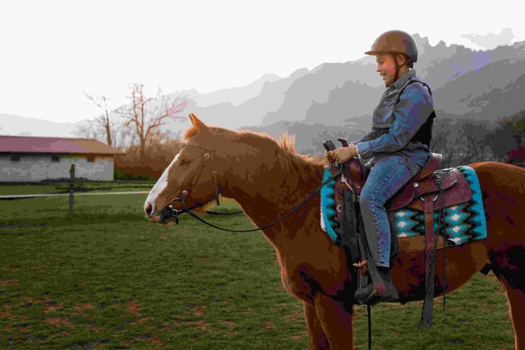 Step-by-Step Guide: How to Train Your Horse for Riding Success