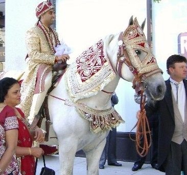 Arabian