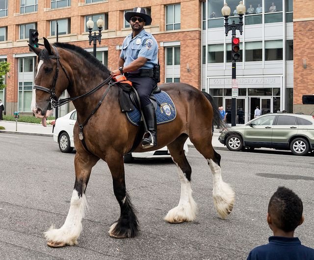 Clydesdale Police