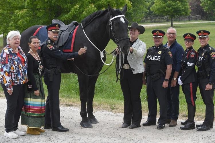 Percheron